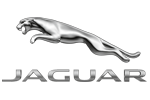 Jaguar spots